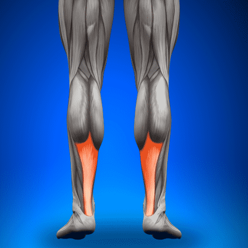 Achilles Tendinitis​